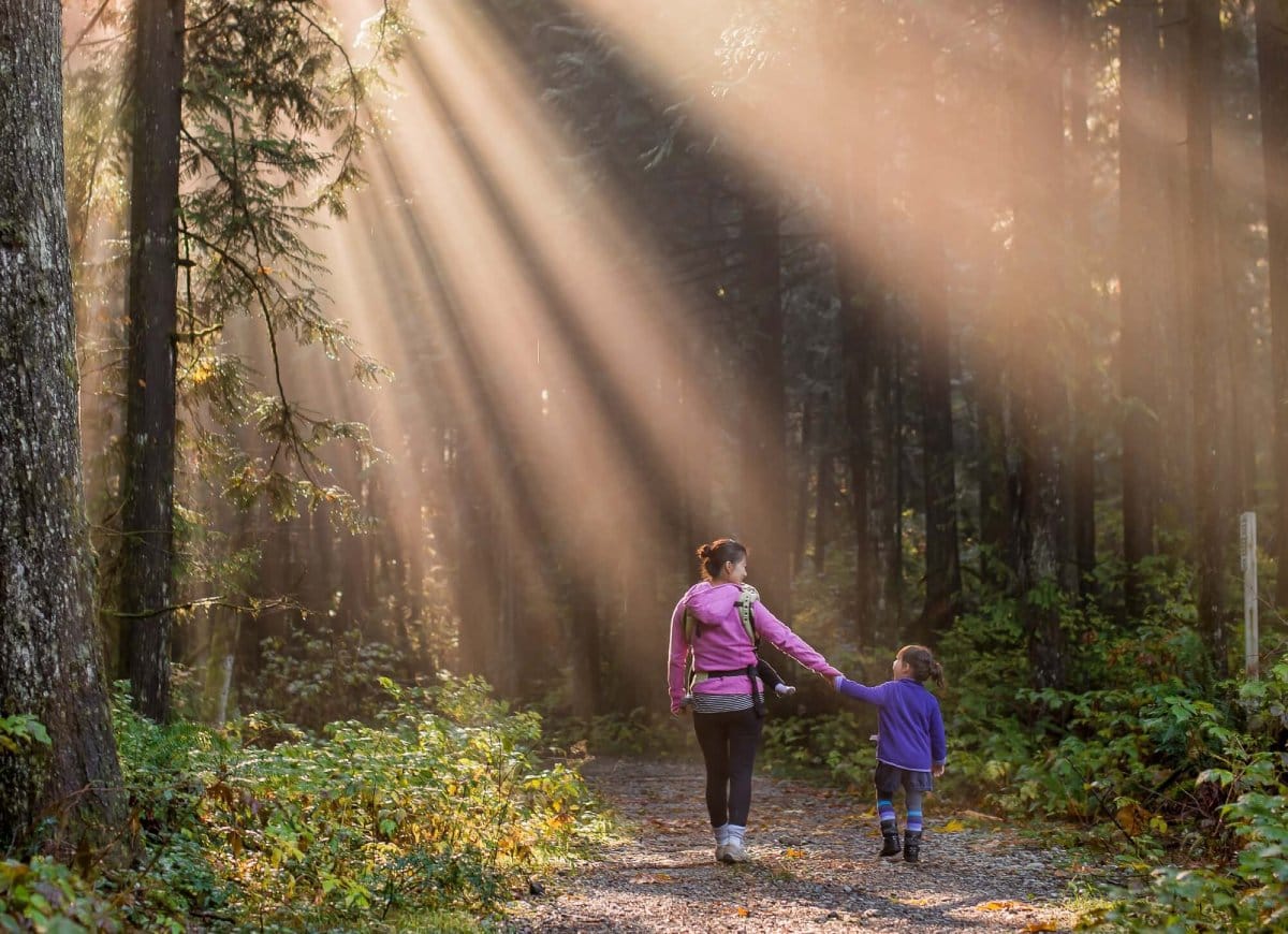 Hiking at Fairy Creek Falls in Fernie