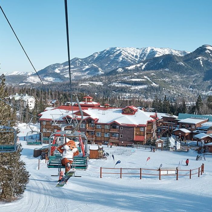 fernie fox sitting on chair lift at Fernie Alpine Resort