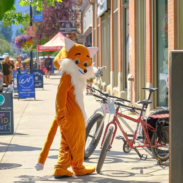 fernie-fox-hotel-mascot-summer-bucket-list