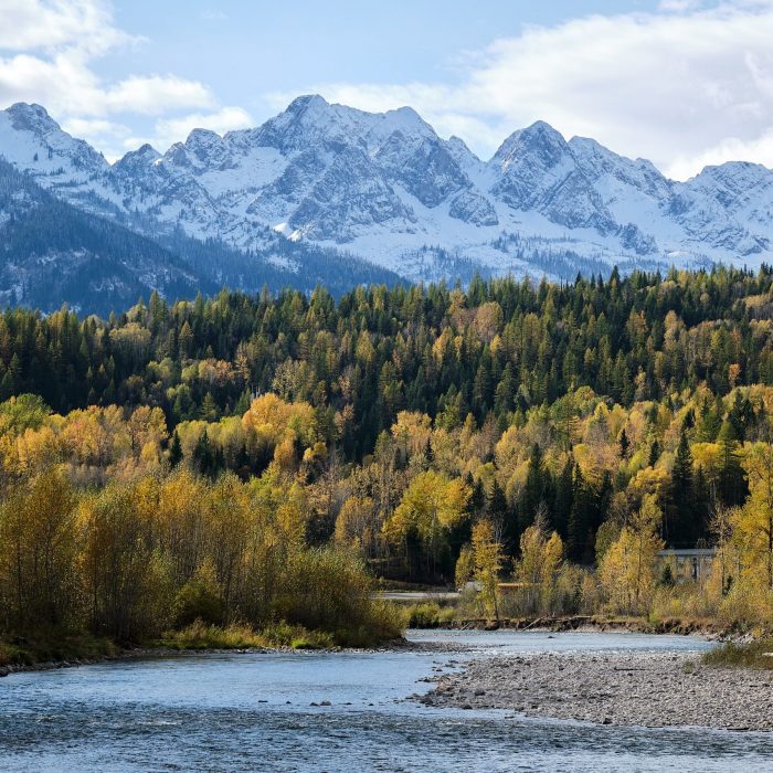 Elk river in foreground, with Lizard Range in background, and Fernie Fox Hotel visible through the trees.