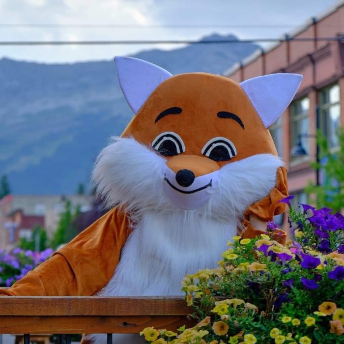 Fall Hiking Season in Fernie