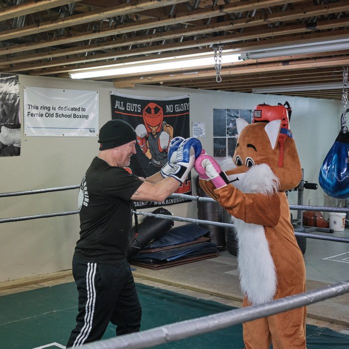 Fernie Fox Hotel mascot spars in boxing gym.