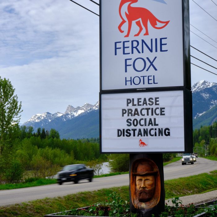 Fernie Fox