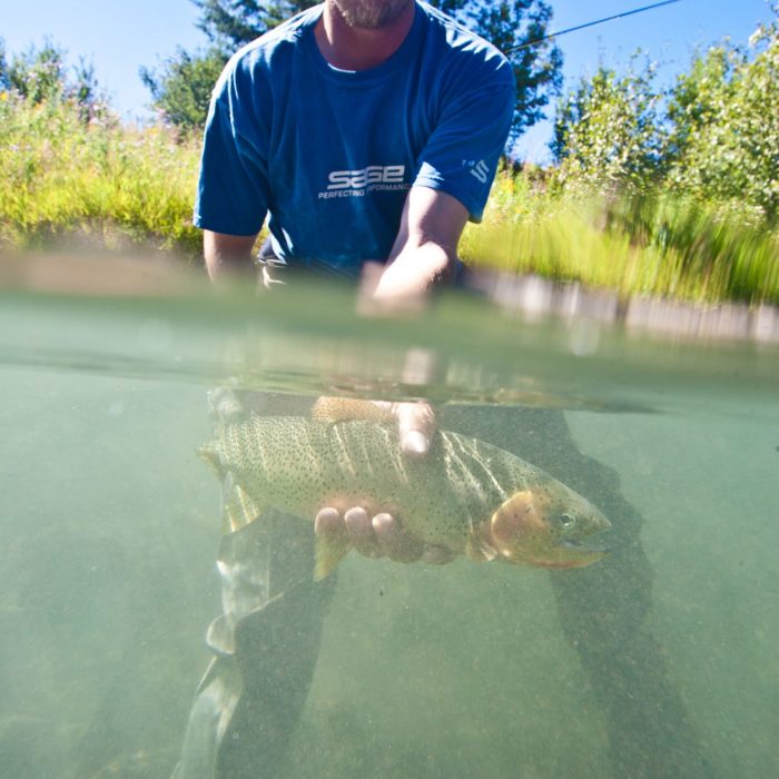 Guide showing a cutthroat trout caught in the Elk River in front of the Fernie Fox Hotel, Fernie BC