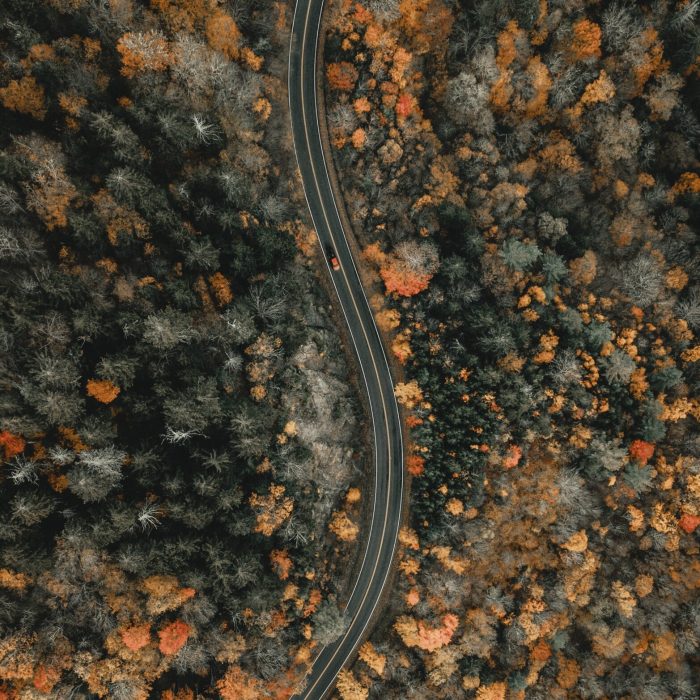 clay-banks-KEIrdasbkhw-unsplash